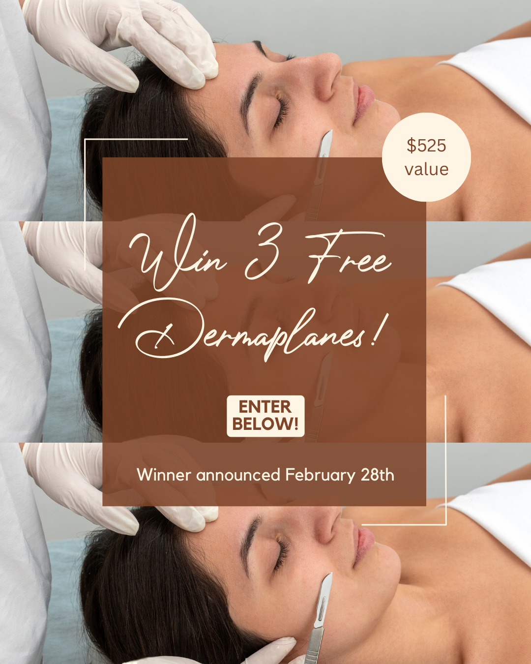 Paloma Wellness Giveaway